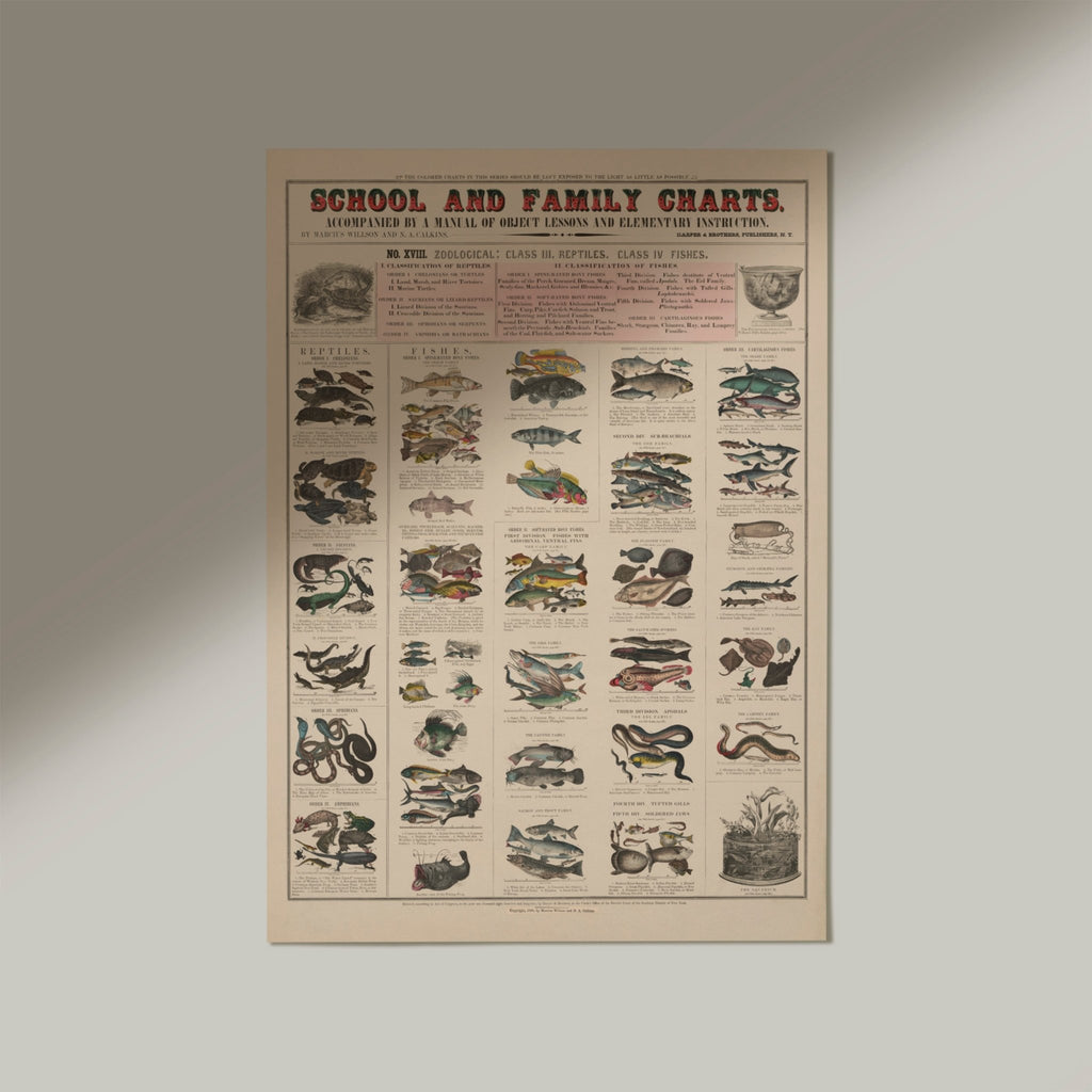 School and family Charts No XVIII. Zoological: Reptiles and Fishes - Jelly Moose