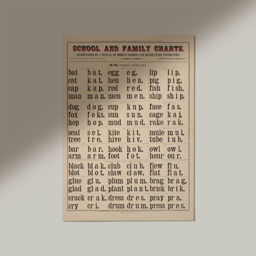School & Family Charts No VIII. Phonic Spelling - Jelly Moose