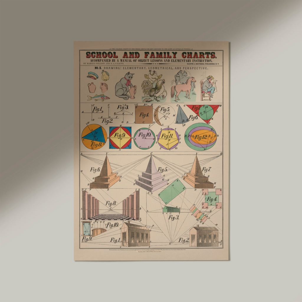 School & Family Charts No X. Drawing: Elementary, Geometrical and Perspective - Jelly Moose