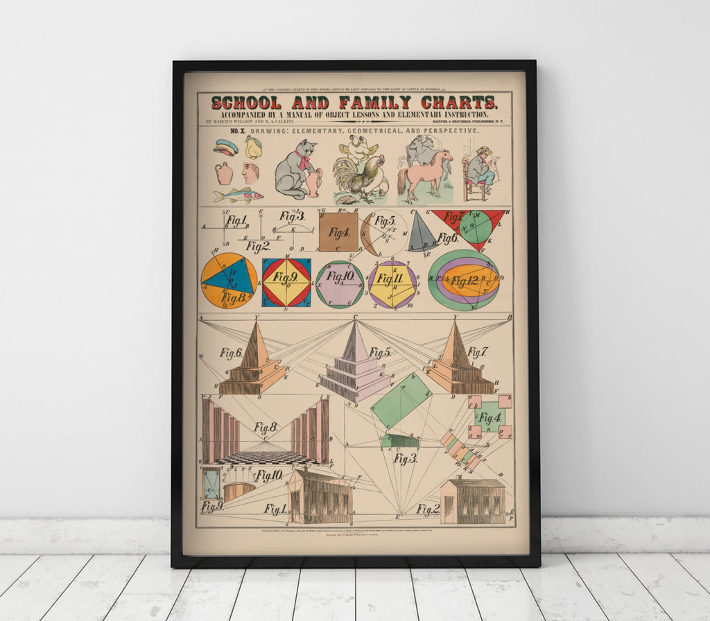 School & Family Charts No X. Drawing: Elementary, Geometrical and Perspective - Jelly Moose