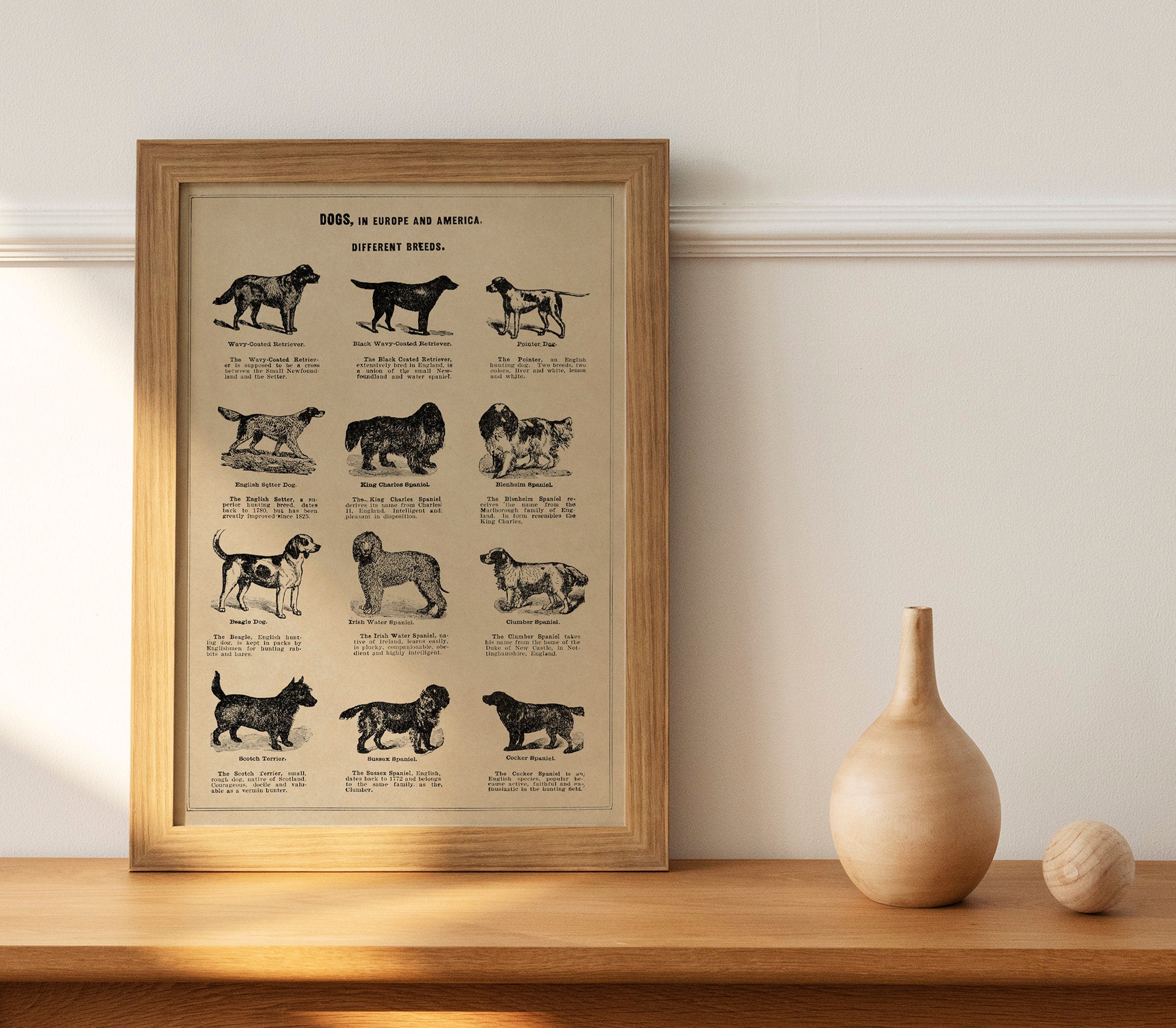 NBA 75 Anniversary Poster – LOST DOG Art & Frame