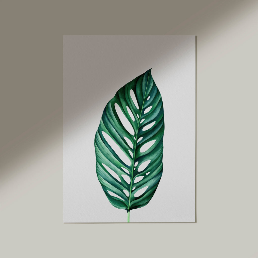 Monstera Leaf Print - Jelly Moose