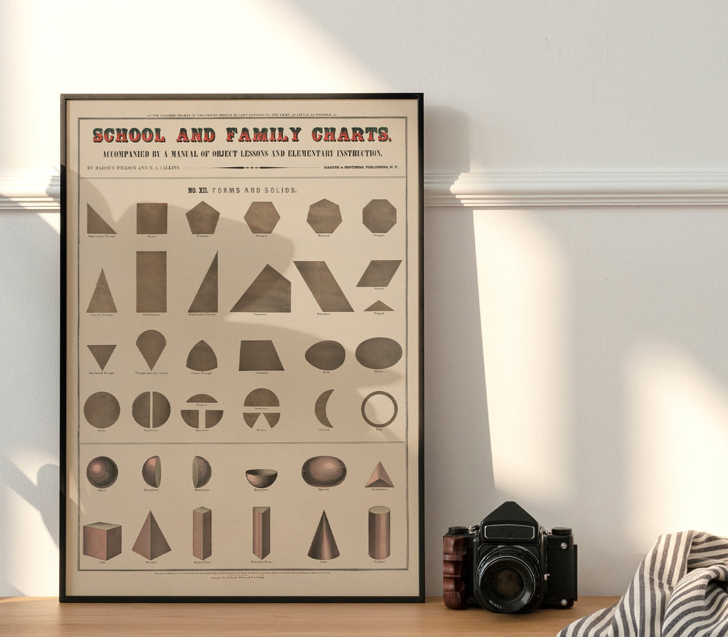 School & Family Charts No XII. Forms & Solids - Jelly Moose