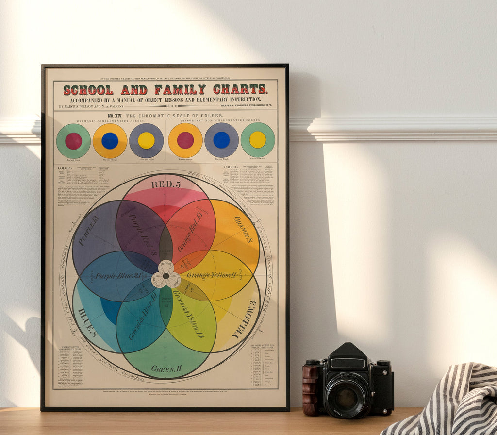 School & Family Charts No XIV. The Chromatic Scale of Colours - Jelly Moose